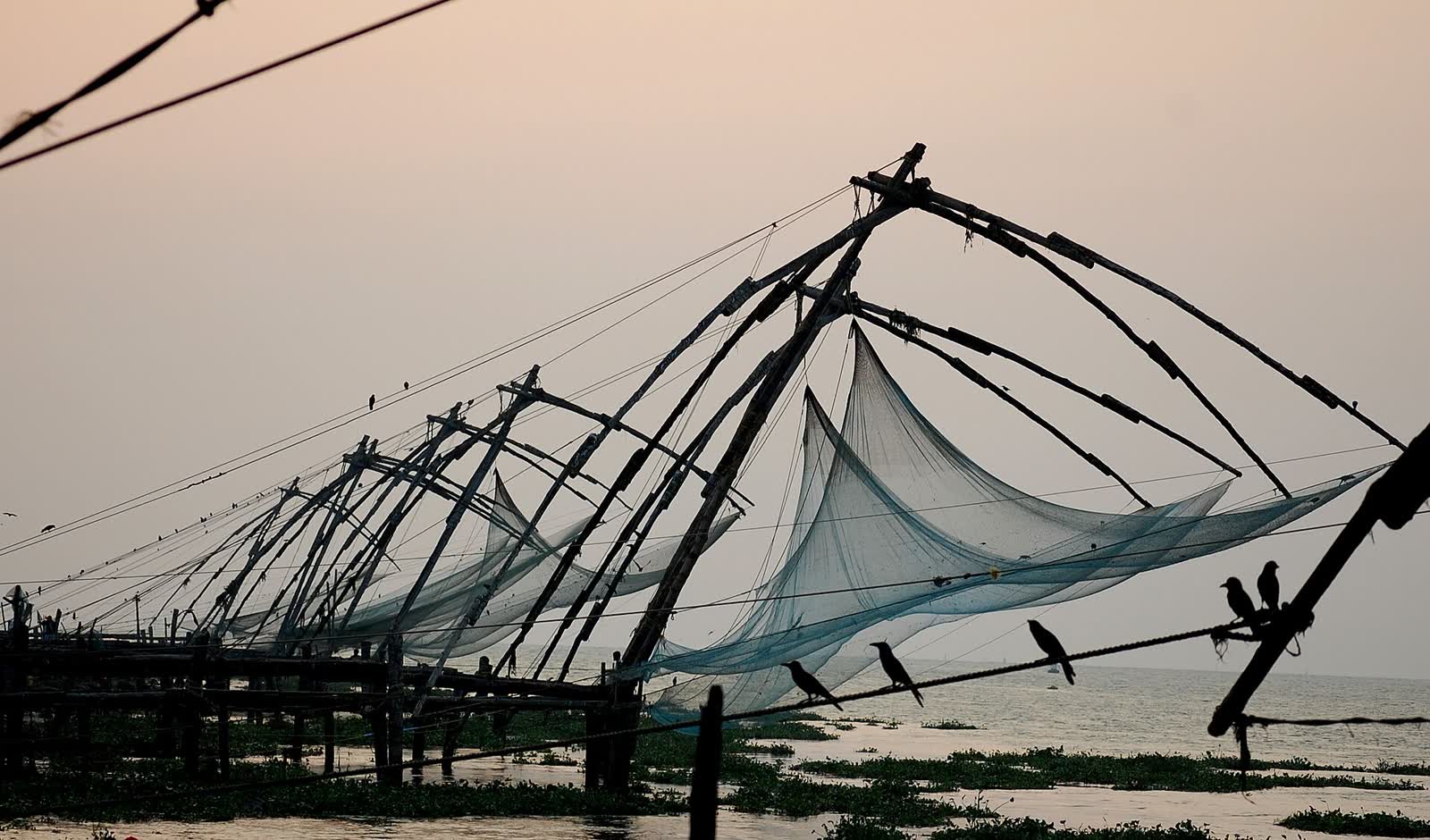 Chinese fishing nets at dusk, Fort Kochi